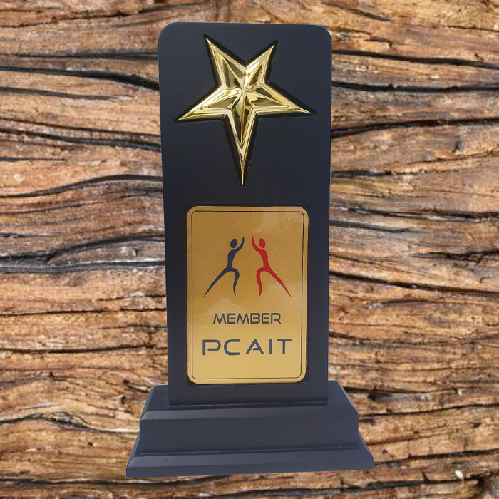 PCA IT